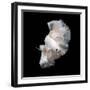 Betta Fish,Siamese Fighting Fish in Movement Isolated on Black Background.-Nuamfolio-Framed Photographic Print