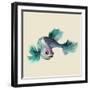 Betta Fish-Jacob Q-Framed Art Print