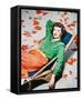 Framed Canvas