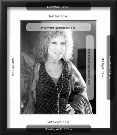 Bette Midler - The Rose' Photo | AllPosters.com