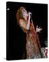 Bette Midler-null-Stretched Canvas