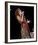 Bette Midler-null-Framed Photo