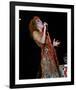 Bette Midler-null-Framed Photo