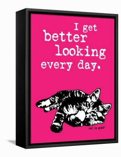 Better Looking-Cat is Good-Framed Stretched Canvas