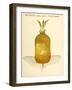 Betterave- Jaune Geante-null-Framed Giclee Print