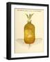 Betterave- Jaune Geante-null-Framed Giclee Print