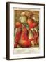 Betteraves Fourragers - Tuber Vegetables-Philippe-Victoire Leveque de Vilmorin-Framed Art Print