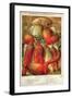 Betteraves Fourragers - Tuber Vegetables-Philippe-Victoire Leveque de Vilmorin-Framed Art Print