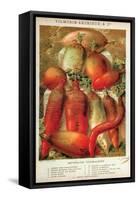 Betteraves Fourragers - Tuber Vegetables-Philippe-Victoire Leveque de Vilmorin-Framed Stretched Canvas