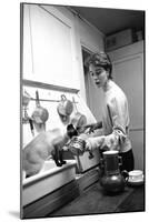 Bettina Graziani Prepares Coffee in Her Kitchen with One of Her Siamese Cats, Paris, France, 1952-Nat Farbman-Mounted Photographic Print