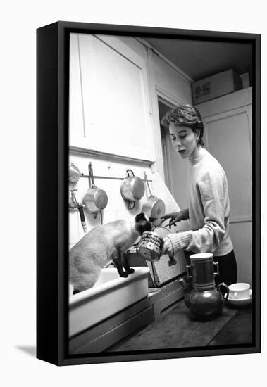 Bettina Graziani Prepares Coffee in Her Kitchen with One of Her Siamese Cats, Paris, France, 1952-Nat Farbman-Framed Stretched Canvas