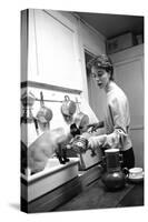 Bettina Graziani Prepares Coffee in Her Kitchen with One of Her Siamese Cats, Paris, France, 1952-Nat Farbman-Stretched Canvas