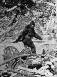 Chimpanzee Reading Newspaper-Bettmann-Photographic Print