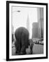 Gramercy Black