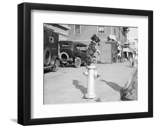 Premium Photographic Print, , large