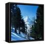Canvas Black