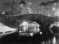 New York Pond in Winter-Bettmann-Stretched Canvas