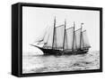 Canvas Black