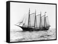 Canvas Black