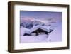 Bettmeralp at Sunset, canton Valais, Switzerland.-ClickAlps-Framed Photographic Print