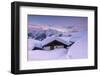 Bettmeralp at Sunset, canton Valais, Switzerland.-ClickAlps-Framed Photographic Print