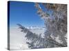 Bettmeralp, Wallis (Valais) Canton, Switzerland, Europe-Angelo Cavalli-Stretched Canvas