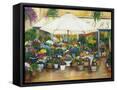 Framed Canvas