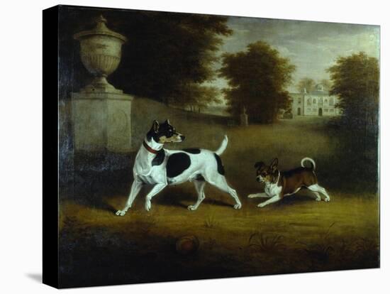 Betty Martin', a Terrier, and 'Idol', a Mongrel, Pet Dogs of the 6th Duke in the Garden at Chiswick-Henry Bernard Chalon-Stretched Canvas