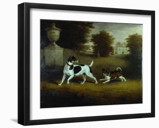 Betty Martin', a Terrier, and 'Idol', a Mongrel, Pet Dogs of the 6th Duke in the Garden at Chiswick-Henry Bernard Chalon-Framed Giclee Print