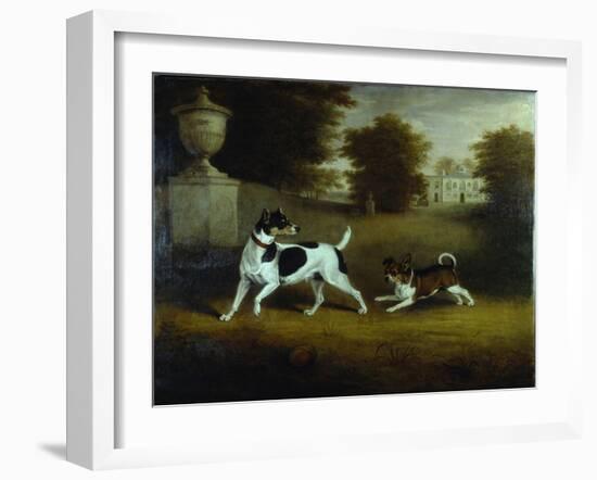 Betty Martin', a Terrier, and 'Idol', a Mongrel, Pet Dogs of the 6th Duke in the Garden at Chiswick-Henry Bernard Chalon-Framed Giclee Print