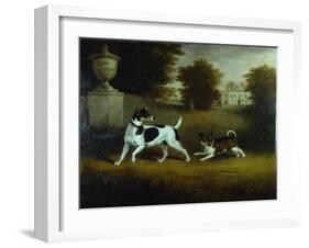 Betty Martin', a Terrier, and 'Idol', a Mongrel, Pet Dogs of the 6th Duke in the Garden at Chiswick-Henry Bernard Chalon-Framed Giclee Print