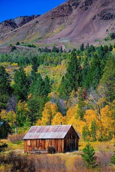 Photographic Print, , large