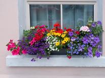 Window greets visitors in the village of Cong, Connacht County, Ireland.-Betty Sederquist-Photographic Print