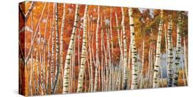 Betulle d'autunno-Adriano Galasso-Stretched Canvas