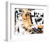 Between Colors and Shapes I-null-Framed Art Print