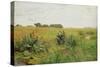 Between Geest and Marsh, c.1880-Valentin Ruths-Stretched Canvas