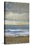 Between Land and Sea I-Tim OToole-Stretched Canvas