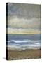 Between Land and Sea I-Tim OToole-Stretched Canvas