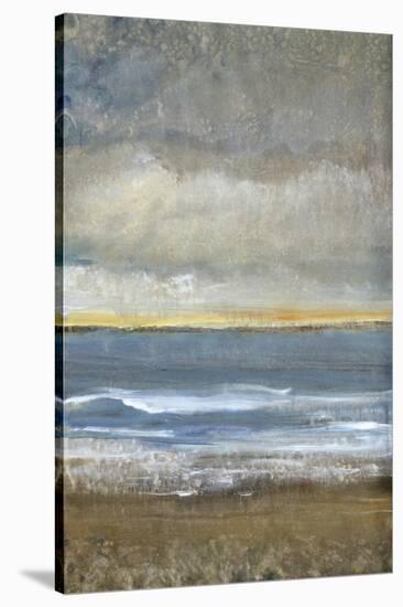 Between Land and Sea I-Tim OToole-Stretched Canvas