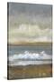 Between Land and Sea II-Tim OToole-Stretched Canvas