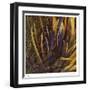 Between the Leaves-Jan Wagstaff-Framed Limited Edition