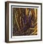 Between the Leaves-Jan Wagstaff-Framed Limited Edition