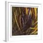 Between the Leaves-Jan Wagstaff-Framed Limited Edition