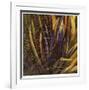 Between the Leaves-Jan Wagstaff-Framed Limited Edition