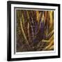 Between the Leaves-Jan Wagstaff-Framed Limited Edition