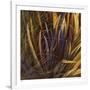 Between the Leaves-Jan Wagstaff-Framed Limited Edition