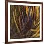 Between the Leaves-Jan Wagstaff-Framed Limited Edition