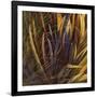 Between the Leaves-Jan Wagstaff-Framed Limited Edition