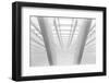 Between the Lines.-Greetje Van Son-Framed Photographic Print