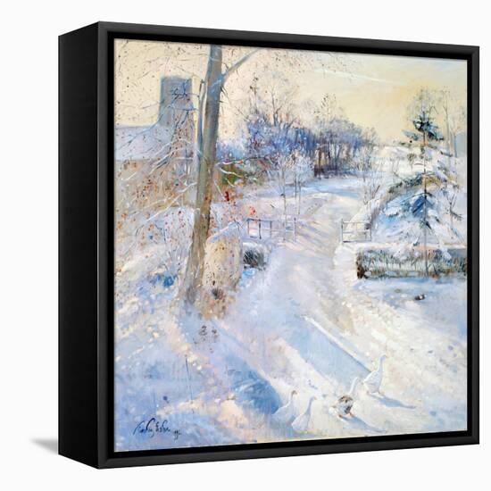 Between the Shadows-Timothy Easton-Framed Stretched Canvas